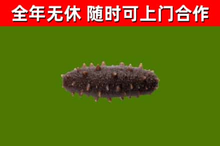 平川区烟酒回收干海参.jpg